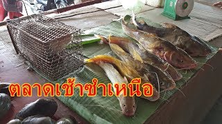 ลุยเดี่ยวลาว EP6:ตลาดเช้าซำเหนือ เห็ดปลวกขายาวมาก ของป่านานาชนิด