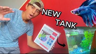 SUPRISING My BETTA FISH with a *NEW* TANK!!