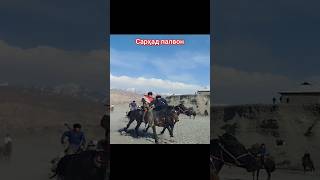 #sarhad #palvon #kopkari #buzkashi #uloq #shorts #video #trend