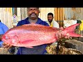 KASIMEDU 🔥 SPEED SELVAM | RED SNAPPER FISH CUTTING VIDEO | IN KASIMEDU | FF CUTTING 🔪