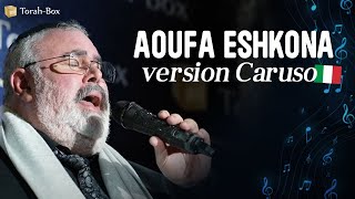 VOUS ALLEZ PLEURER 😭 AOUFA ESHKONA version CARUSO 🇮🇹