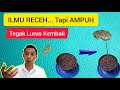 Cara Mudah Tegakkan Kembali Batang Tanaman Yang Bengkok, Miring, Layu..!! Batang Daun Tegak Lurus ..