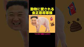 動物にも愛される金正恩将軍様（アフレコ・吹き替え）