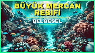 Avustralya Büyük Set Resifi: Dünyanın En Büyük Mercan Resifi | Belgesel