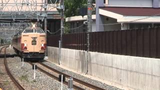 特急北近畿183系/Limited express Kitakinki 183 series/2008.08.10