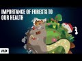 Importance Of Forests To Our Health