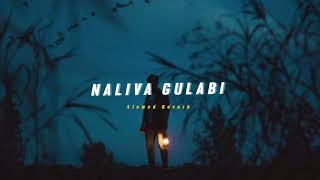 Naliva Gulabi ( Slowed + Reverb ) | Soul Vibez