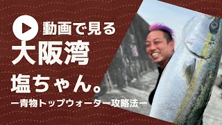 【大阪湾　塩ちゃん。釣行　青物キャスティング】大阪湾キャスティング/ガレワン号/オフショア/キャスティング/大阪湾/塩ちゃん。/伊勢湾の赤い人