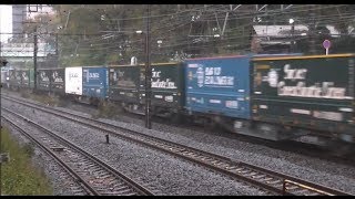 2013.10.26 (土)　早朝の貨物列車　大雨で遅れ続出