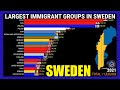 Largest Immigrant Groups in Sweden