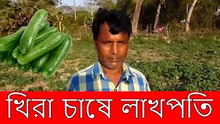 খিরা চাষর সেরা পদ্ধতি ও দিগুণ ফলন