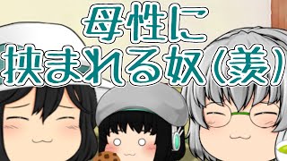 【ゆっくり茶番】反転した奴と幼児化した奴のその後