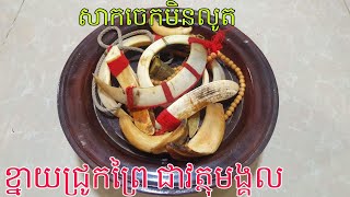 ខ្នាយជ្រូកព្រៃ ដកពិសោធន៍ដើមចេក និងបាញ់ - [ពិជ័យសង្គ្រាម]