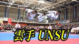 Karate Kata "Unsu" in 2017 JKA WORLD TOURNAMENT
