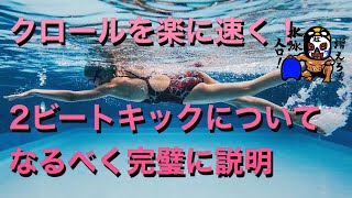 #395 楽に速く！クロールの2ビートキックについてなるべく完璧に説明【水泳】