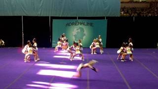 Adrenaline - Flyers