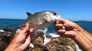 EPIC Rock FISHING in Palawan Philippines