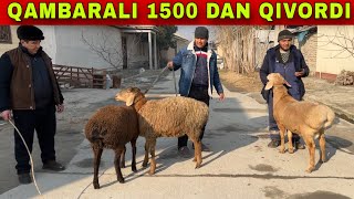 QAMBARALI 1500 MINGDAN QIVORDI E YASHAVORE