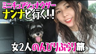 シュナウザー ナンナ♀と行く 女子のんびりぶらり旅！ドッグラン＆ドッグカフェ