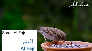 089.Surat Al-Fajr Beautiful Quran Recitation سورة الفجر Al-Fajr Surah Full [The Dawn] Peaceful Islam