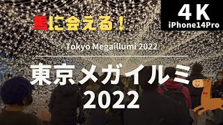 【4K 街散策】東京メガイルミ2022 @大井競馬場 -Tokyo Megaillumi 2022 japanwalk