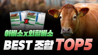 키우소TV🐮#10｜🚨1++등급 출현율 79% 이상! 베스트 KPN조합 TOP5!