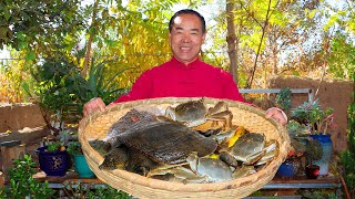 Golden Turtles, Forest Frogs, Crab, Loach and Yellow Catfish Simmered Together!| Uncle Rural Gourmet