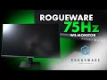 Unboxing Video: Rogueware W2413S Monitor 24-inch