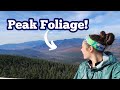 Hiking 10 Miles to the BEST VIEW of New Hampshire's 4,000 Footers | Peak Foliage on Mt. Carrigain