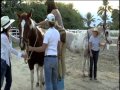 Cowgirl Up Season 1- behind the scenes