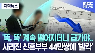 [자막뉴스] '뚝, 뚝' 계속 떨어지더니 급기야.. 사라진 신혼부부 44만쌍에 '발칵' (2023.12.11/MBC뉴스)