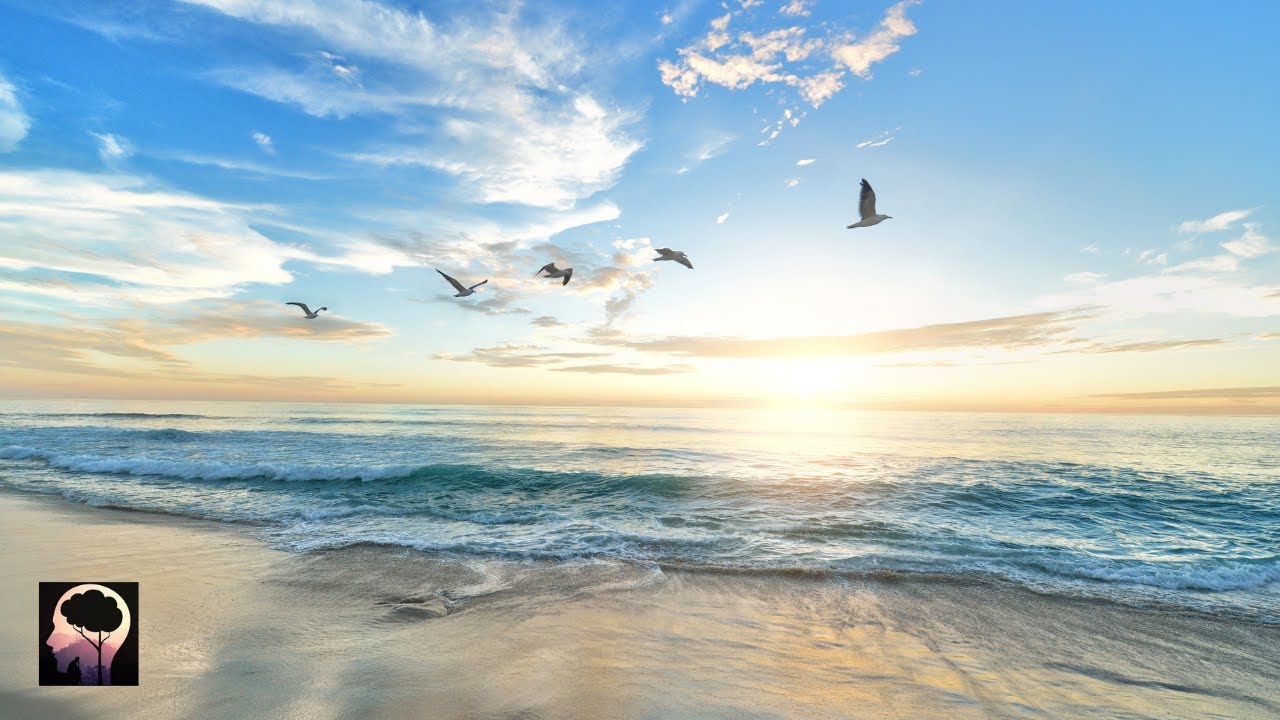 Morning Relaxing Music Piano Music For Stress Relief Youtube Music