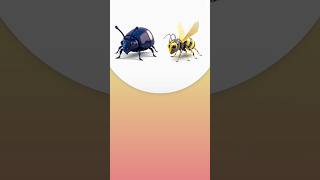 #shorts ANIMASH BEETLE X WASP #animash #gameandroid #gameno1