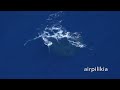 bluefin tuna 2023 season video clips