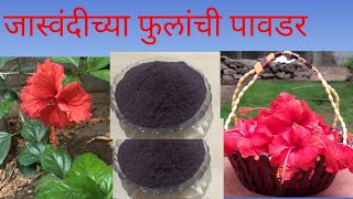 घरच्या घरी बनवा जास्वंदीच्या फुलांची पावडर, How to make organic Hibiscus powder at home 🌺🌺