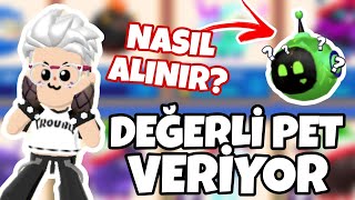 PK XD DEĞERLİ PETLER VEREN DOST YUVASI NASIL ALINIR?