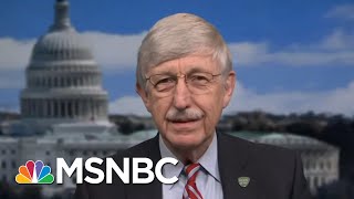 NIH Director On Florida: Stay Out Of Bars With Masks Off, What Are You Doing? | Katy Tur | MSNBC