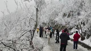 江苏南京甲辰年🐲 Nanjing Jiangsu 紫金山