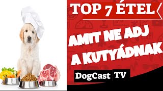 TOP 7 étel amit ne adj a kutyádnak!  DogCast TV!