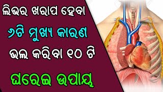 ଲିଭର ଖରାପ ହେବ ର ୬ଟି ମୁଖ୍ୟ କାରଣ ! ଭଲ କରିବା ର ୧୦ ଟି ଘରେଇ ଉପାୟ !