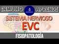 EVC: Fisiopatología | Anatomía neurovascular - Presentación clínica