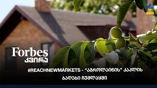 #Forbesკვირა - #reachnewmarkets - “აგროლაინის” კაკლის ბაღები ჩუმლაყში