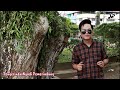 pengerindu nyadi pemerindang aldrin awin official music video