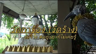 พบซากยอดเจดีย์โบราณ วัดการ้อง วัดร้างลุ่มน้ำเจ้าพระยา อยุธยาที่ไม่เคยรู้