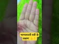 भाग्यशाली स्त्री के लक्षण amazingfacts interestingfacts amazing motivation palmist