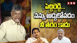 Chandrababu :పెద్దిరెడ్డి...న‌న్ను అడ్డుకోవ‌డం నీ తరం కాదు..చంద్ర‌బాబు స్పీచ్‌కి జ‌నం అరుపులు | ABN