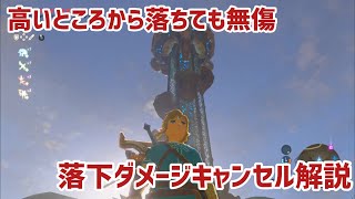 RTAでも使われる落下ダメージキャンセル解説【ブレワイ】【バグ】【Botw】