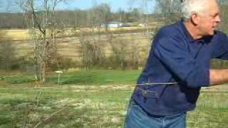 Pruning & Controlling a Climbing Rose