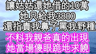 我找姑姑要回她借的10萬，她只給我3800，還指責我鼻子罵我野種，不料我親爸真的出現，她當場傻眼直接跪地求饒 | #為人處世#生活經驗#情感故事#養老#退休#淺談人生#深夜淺讀