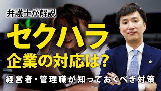 【弁護士が解説】セクハラが起こった際に必要な会社の対応とは？経営者・管理職が知っておくべき対策〜第2回〜